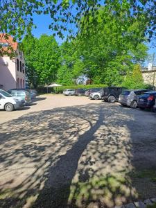 a shadow of a tree on a parking lot at Hotel Aslan in Tarnowskie Góry