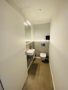 uma casa de banho com um WC e um lavatório em Venta de Arrieta em Saragüeta