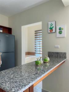 a kitchen with a counter with green apples on it at Sunset Home 2B (Gated) in Higuey +8 photos