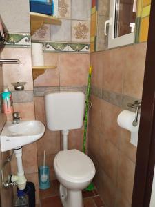 łazienka z toaletą i umywalką w obiekcie Wooden Treasure w mieście Jesenice