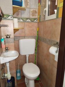 イェセニツェにあるWooden Treasureのトイレと洗面台付きのバスルーム +8枚の写真