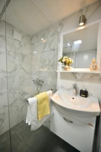 een badkamer met een wastafel en een spiegel bij Reina Apartments Skopje in Skopje