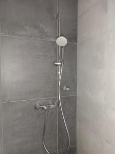 eine Dusche mit Duschkopf im Bad in der Unterkunft Moderní luxusní sdílený rodinný apartmán 