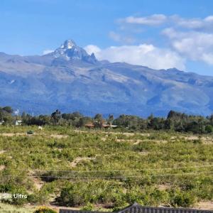 a mountain in the distance with a field and trees at Ankar Homes, California 2 in Nanyuki