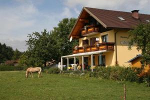 a horse grazing in a field in front of a house at Bauernhof-Pension Puschnikhof in Unternarrach
