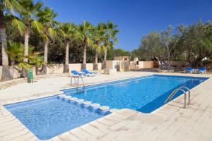 una piscina con sillas azules y palmeras en S'Olivera, en Es Pujols