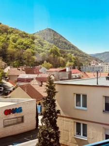 Γενική θέα στο βουνό ή θέα στο βουνό από  αυτό το διαμέρισμα