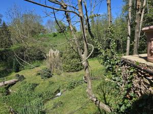 Ogród w obiekcie Le moulin de Meslon