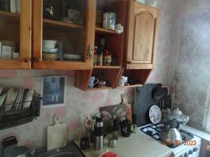 Η κουζίνα ή μικρή κουζίνα στο Room for rent