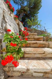 um grupo de escadas com flores vermelhas em Flower Vila em Saranda
