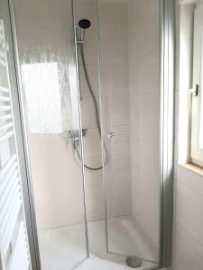 um chuveiro com uma porta de vidro na casa de banho em Stettiner Straße 7 - Whg 4 em Grömitz