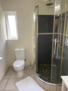 La salle de bains est pourvue de toilettes et d'une douche en verre. dans l'établissement Le Colonial Cocoon Apartement 2, à La Gaulette