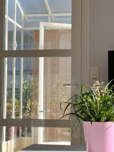 una ventana con una maceta en el alféizar de la ventana en Petit appartement tranquille avec jardin - Hyeres Centre Ville en Hyères
