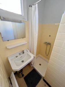 La salle de bains est pourvue d'un lavabo et d'une douche. dans l'établissement Petit appartement tranquille avec jardin - Hyeres Centre Ville, à Hyères