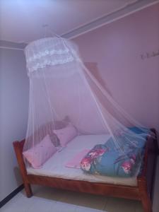 Una cama pequeña con mosquitera. en Pearl Furnished Rooms Buloba, en Kampala