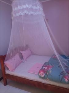 Una cama pequeña con mosquitera. en Pearl Furnished Home en Buloba