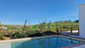 a swimming pool with a herd of animals in a field at Milagres de Santa Rita in Vila Nova De Cacela