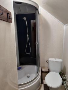 ein kleines Bad mit einem WC und einer Dusche in der Unterkunft ГІРСЬКІ ПОДОРОЖі in Slawske