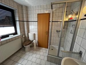 a bathroom with a toilet and a shower at FeWo 1 Am Sportplatz 2 in Ueckeritz +10 photos