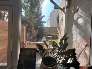una maceta sentada en un alféizar junto a un patio en Grand appartement en rdc avec jardin, en Burdeos