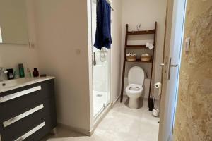 La petite salle de bains est pourvue d'une douche et de toilettes. dans l'établissement Grand appartement en rdc avec jardin, à Bordeaux