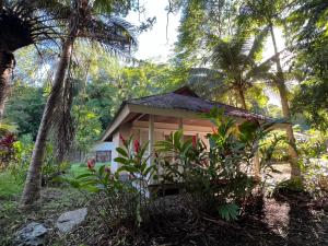 a small house in the middle of a forest at Bungalow Terra - Sarramea in Sarraméa
