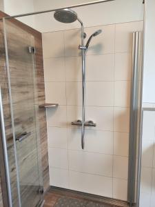 La salle de bains est pourvue d'une douche avec une porte en verre. dans l'établissement Ferienwohnung Völkel, à Röllbach