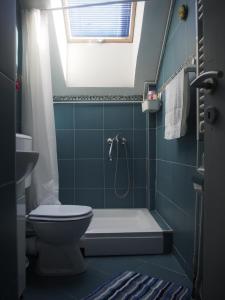 e bagno con doccia, servizi igienici e finestra. di Danica Apartment a Belgrado