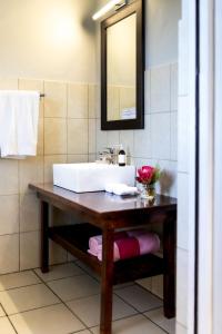 a bathroom with a sink and a mirror at Hemel 'N Aarde Stud in Hermanus +57 photos