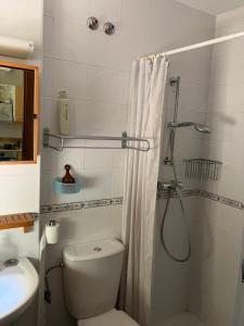 een badkamer met een douche, een toilet en een wastafel bij Roterapium in Almadraba