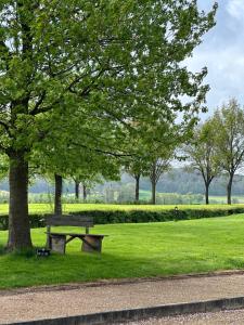 um parque com um banco debaixo de uma árvore em Landhuis Bovenste Bos em Epen