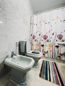 a bathroom with a toilet and a sink and a shower curtain at Spacious family friendly apartment - Free Barking in Amman