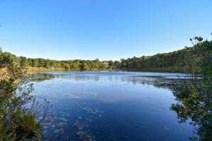 Příroda nedaleko prázdninového domu