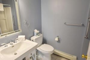 a bathroom with a white toilet and a sink at 5-Mins to Forest Beach Dog Friendly in Chatham +21 photos