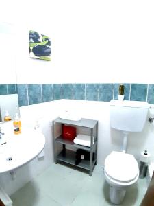 a bathroom with a white toilet and a sink at 4 bedrooms apartement with city view balcony and wifi at Porto 3 km away from the beach in Porto