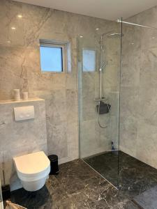 a bathroom with a shower and a toilet at Forest Hideaway Near Akureyri in Akureyri