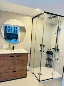 een badkamer met douche, wastafel en spiegel bij El rincón de Regina in Córdoba