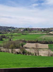 un campo verde con árboles y edificios a lo lejos en B&B i colori del Monferrato, en Montiglio