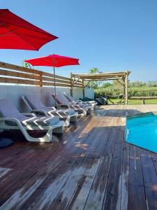 una terraza con sillas y sombrillas y una piscina en Mas Constantin en Salin-de-Giraud
