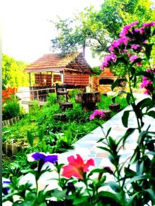 een tuin met bloemen voor een huis bij Forest Gamp in Dilidzjan