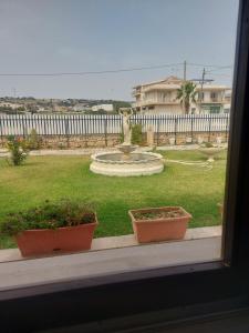 três plantas sentadas num parapeito de janela num quintal em A casa di Franco em Marina di Ragusa