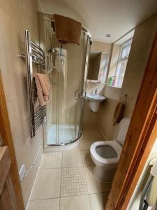 a bathroom with a shower and a toilet and a sink at Cobwebs in Kedington