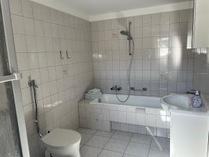 a bathroom with a shower and a tub and a toilet at Erzhof Nassau- Ferienwohnung an der Loipe in Bienenmühle