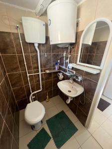 a bathroom with a toilet and a sink and a mirror at Apartman Kuršumlijska banja in Kursumlijska Banja