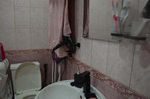uma casa de banho com um lavatório e um WC em Nice home in centre em Yerevan