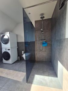 uma casa de banho com um chuveiro e um WC. em Sandbank em Sankt Peter-Ording