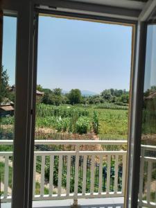 a view from a window of a vineyard at House Otes Ilidža in Sarajevo