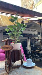 a potted plant sitting on a table in front of a building at Chez Bore Butique Hotel in Istanbul