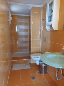 a bathroom with a shower and a toilet and a sink at Nefeli Seaside Apartments in Polychrono