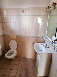 A bathroom at Penzión Villa Agnes